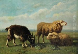 Moutons Et Bouc Au Pre by Louis Marie Dominique Romain Robbe