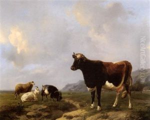 Vache Et Moutons Dans Une Prairie Vache Et Moutons Dans Une Prairie