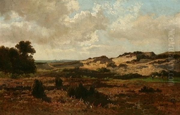 Paysage De Dunes - view 1