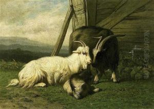 Chevres Au Paturage by Louis Marie Dominique Romain Robbe