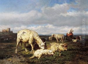 Het Schapenhoedstertje Het Schapenhoedstertje