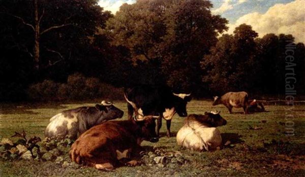 Cattle Resting In A Meadow - view 1