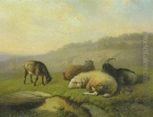 Schafe Und Ziegen Auf Der Weide Bei Einem Steg by Louis Marie Dominique Romain Robbe