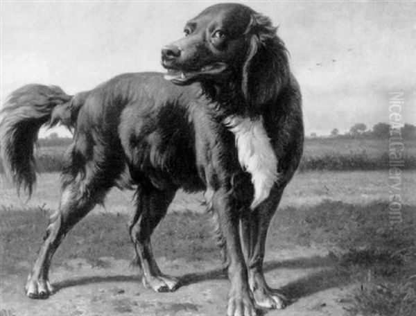 The Gun Dog - view 1