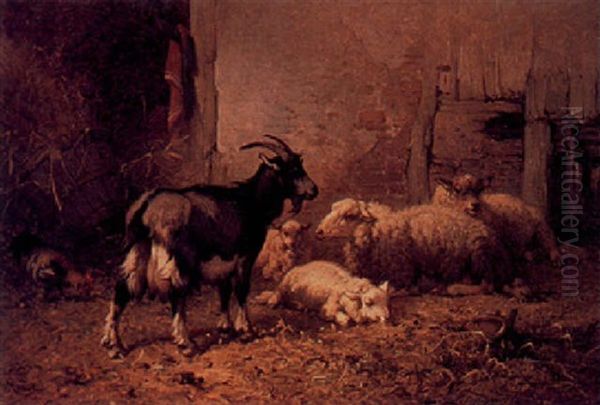 A Goat And Sheep In A Stable - view 1