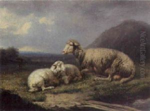 Sheep In An Extensive Landscpae Sheep In An Extensive Landscpae