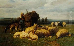 Moutons Au Paturage