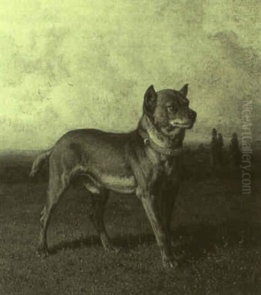 Chien A L'arret - view 1