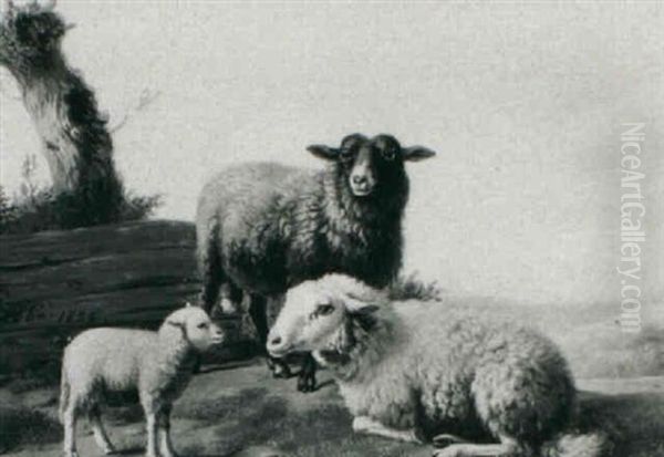 Sheep In A Landscape - view 1