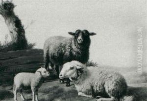 Sheep In A Landscape Sheep In A Landscape