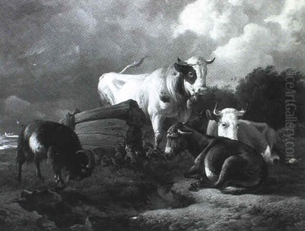 Tiere Auf Der Weide An Einem Wasserloch - view 1
