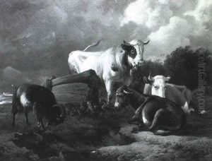 Tiere Auf Der Weide An Einem Wasserloch