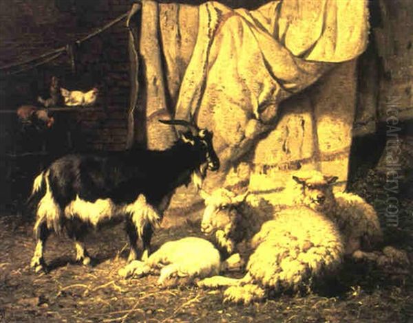 Moutons Et Chevre Dans Un Etable - view 1