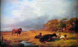 Vaches Dans Une Pature