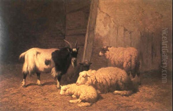 Chevre Et Moutons - view 1