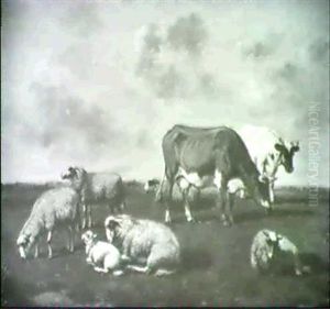 Vlamische Wiesenlandschaft Mit Weidenden Kuhen Und Ruhenden Schafen