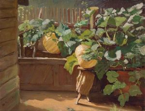 Raised Bed With Ripe Pumpkins by Moritz Friedrich Robbecke