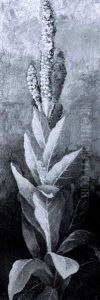 Plant With Yellow Blossoms by Ellen Robbins