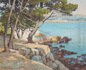 Vue Sur Antibes Depuis La Pointe Du Bacon Vue Sur Antibes Depuis La Pointe Du Bacon