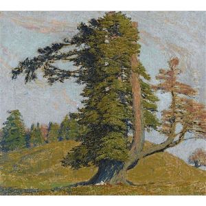 Le Plus Beau Sapin De La Montagne De Boujean by Jean Philippe Edouard Robert