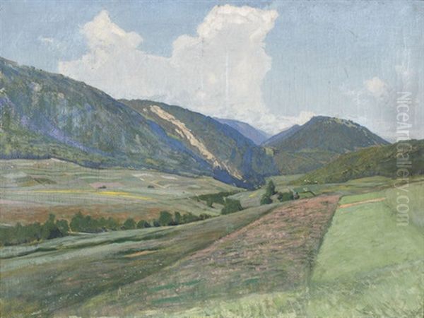 Sommerliche Juralandschaft - view 1