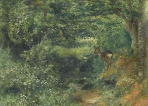 Waldpartie Mit Jungem Reh Waldpartie Mit Jungem Reh