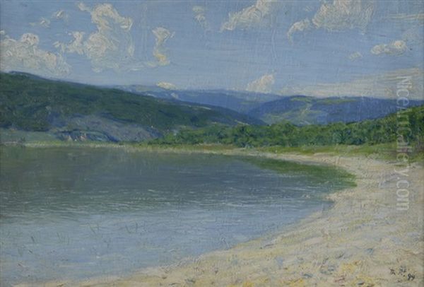 Blick Von Sutz-lattrigen Auf Den Bielersee - view 1