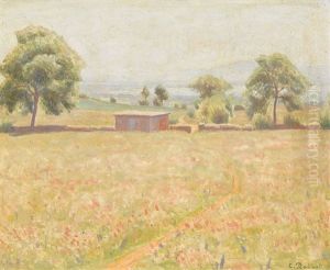 Sommerliche Wiesenlandschaft Mit Seeblick