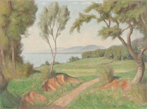 Sommerliche Partie Am Neuenburgersee by Paul Theophile Robert