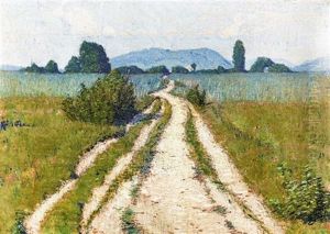 Au Lac De Bienne - Le Chemin Des Payens Au Lac De Bienne - Le Chemin Des Payens
