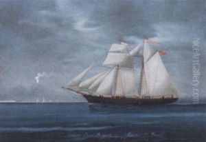 The Topsail Schooner "olive Branch" In The Bay Of Naples by Luigi Roberto