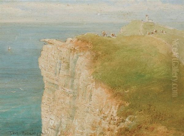 Untitled (bruny Island Lighthouse) - view 1
