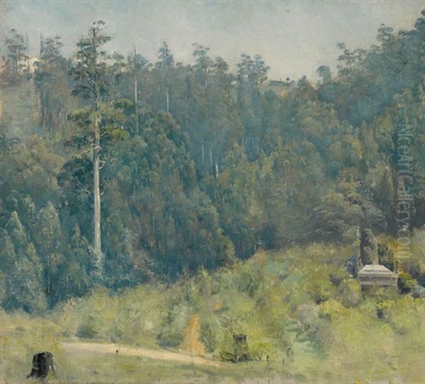 Untitled (dandenongs Landscape) - view 1