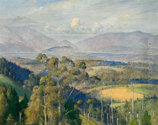 Kallista Landscape - view 1