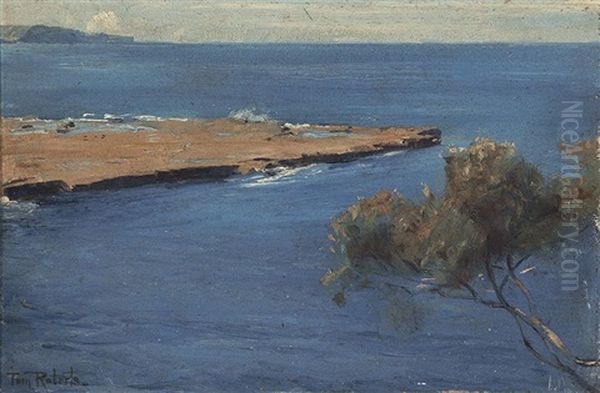 Coastal Scene, Nsw - view 1