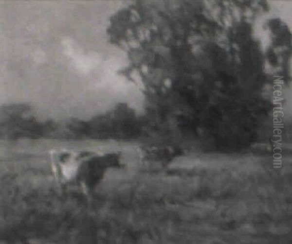 Cows In A Landscape At Dusk - view 1