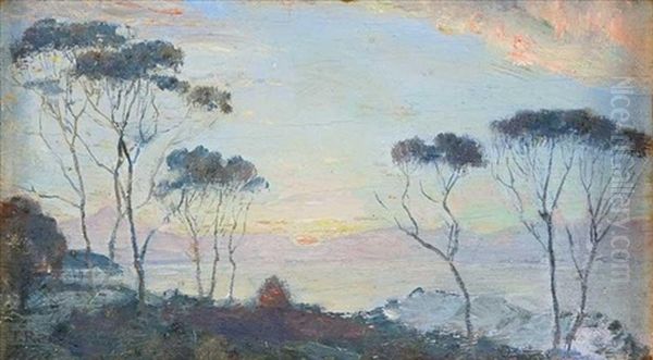 Coastal Scene - view 1