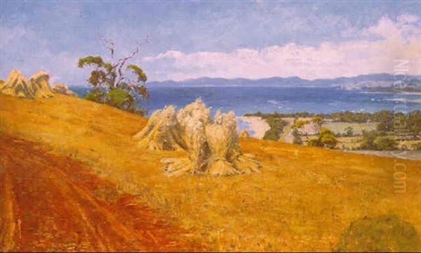 Near Ulverstone, Tasmania - view 1