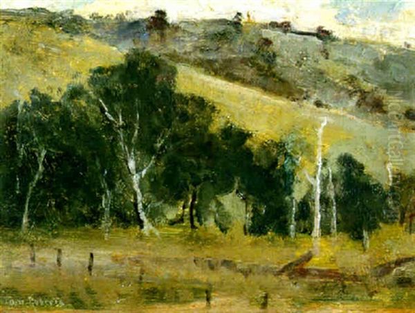 Landscape - view 1