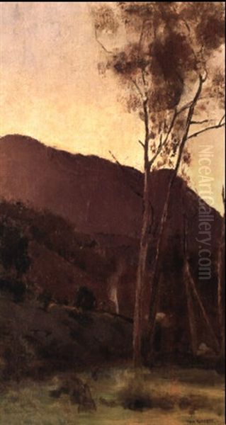 Trees - view 1