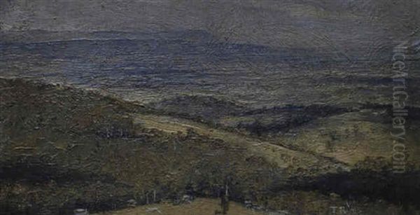 Dandenong Hills - view 1