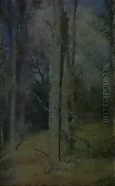 Autumn, England - view 1