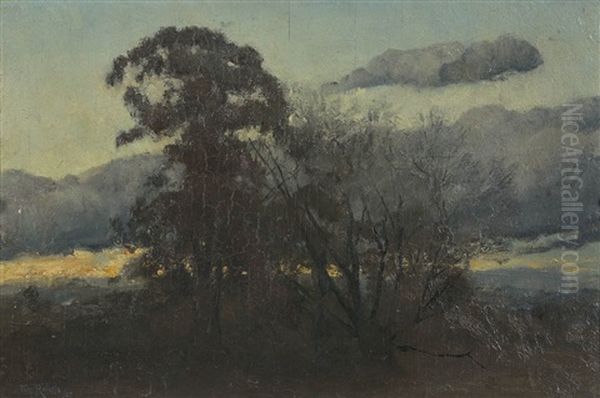 Untitled (nocturnal Landscape) - view 1