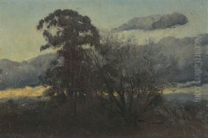 Untitled (nocturnal Landscape) by Tom Robertson