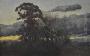 Nocturnal Landscape