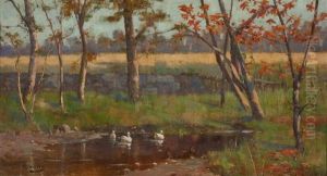 View Of A Pond