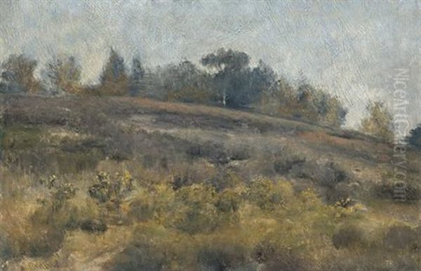 Landscape - view 1