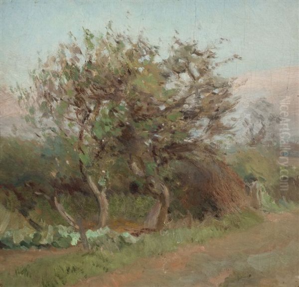 Summer - view 1