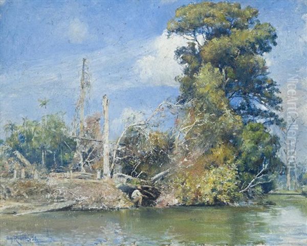 An Island On The Tweed, N.s.w. - view 1
