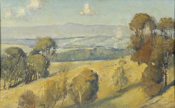Dandenong Landscape - view 1
